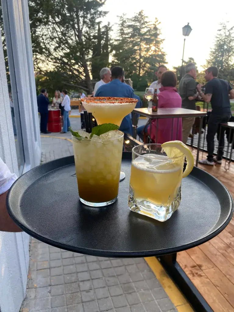 cocktails terraza